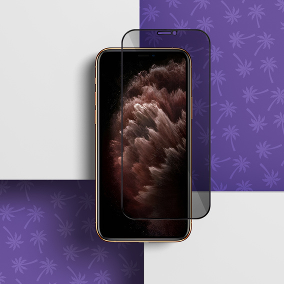 Tvrzené sklo Shy Palm pro iPhone 11 Pro