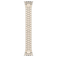 Náramek pro Apple Watch 1/2/3/4/5/6/7/8/9/10/SE/ULTRA/ULTRA 2 42/44/45/46/49MM, titanový