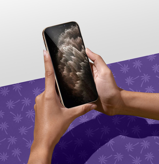 Tvrzené sklo Shy Palm pro iPhone 11 Pro Max