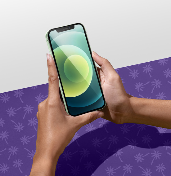 Tvrzené sklo Shy Palm pro iPhone 12/12 Pro